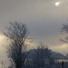 Silver landscape